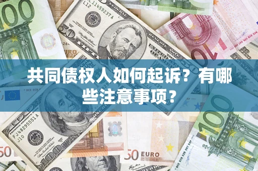 北京共同债权人如何起诉？有哪些注意事项？